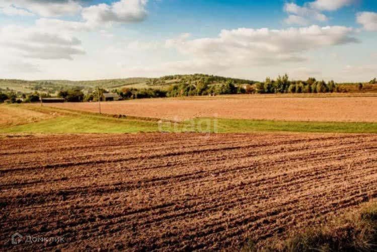 земля р-н Новооскольский село Ярское фото 4