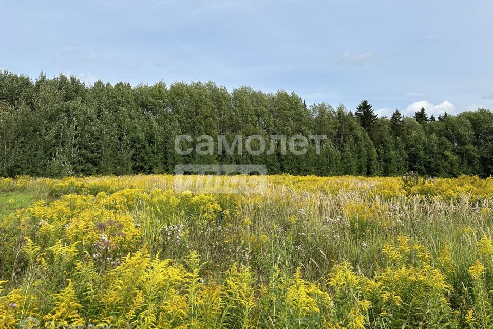 земля р-н Завьяловский деревня Красный Кустарь фото 1