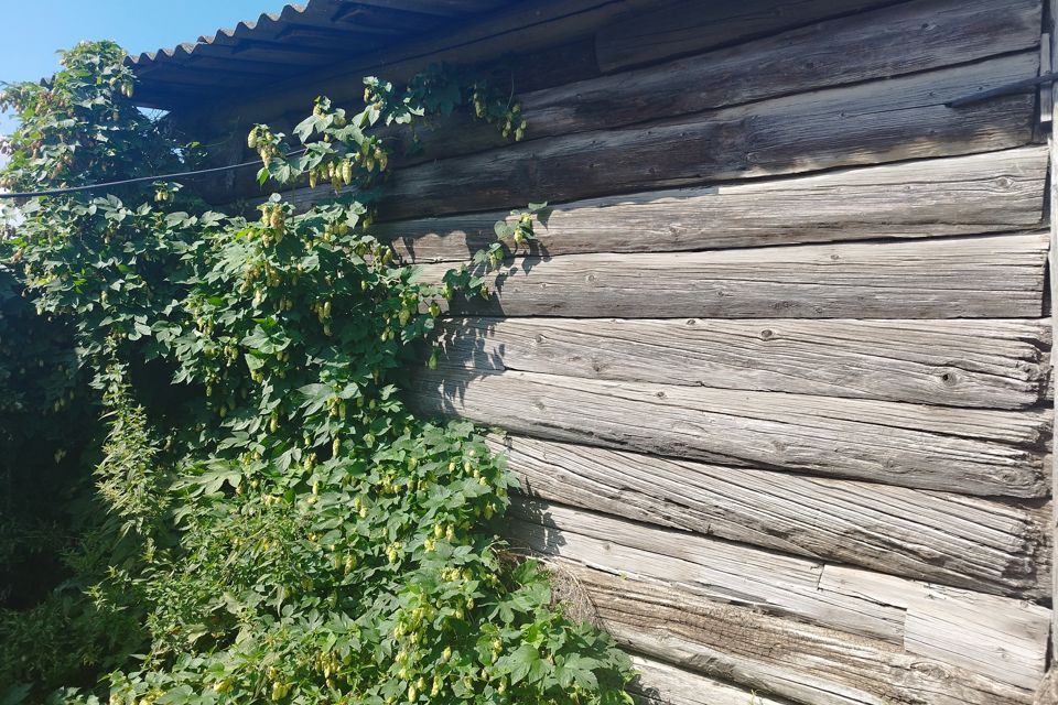 дом р-н Тетюшский с Кильдюшево ул Комарова Республика Татарстан Татарстан фото 3