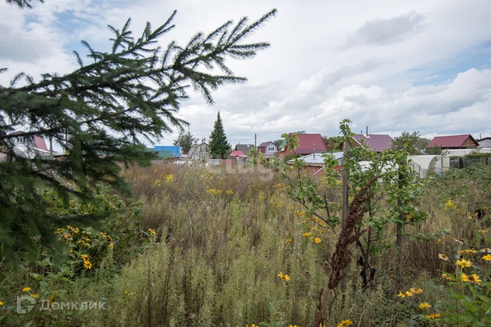 земля г Бердск городской округ Бердск, садоводческое некоммерческое товарищество Радостное фото 3