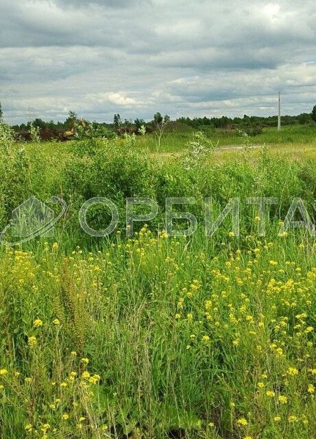 земля г Тюмень пл Центральная городской округ Тюмень фото 2