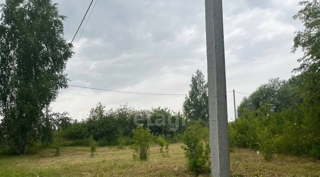 земля городской округ Луховицы д Ивняги снт Поляна садоводческое товарищество, 98 фото 3