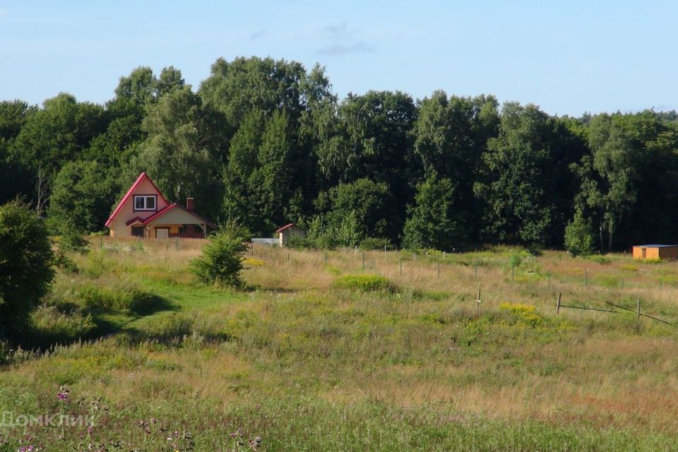 земля р-н Зеленоградский п Клюквенное Каштановая фото 2