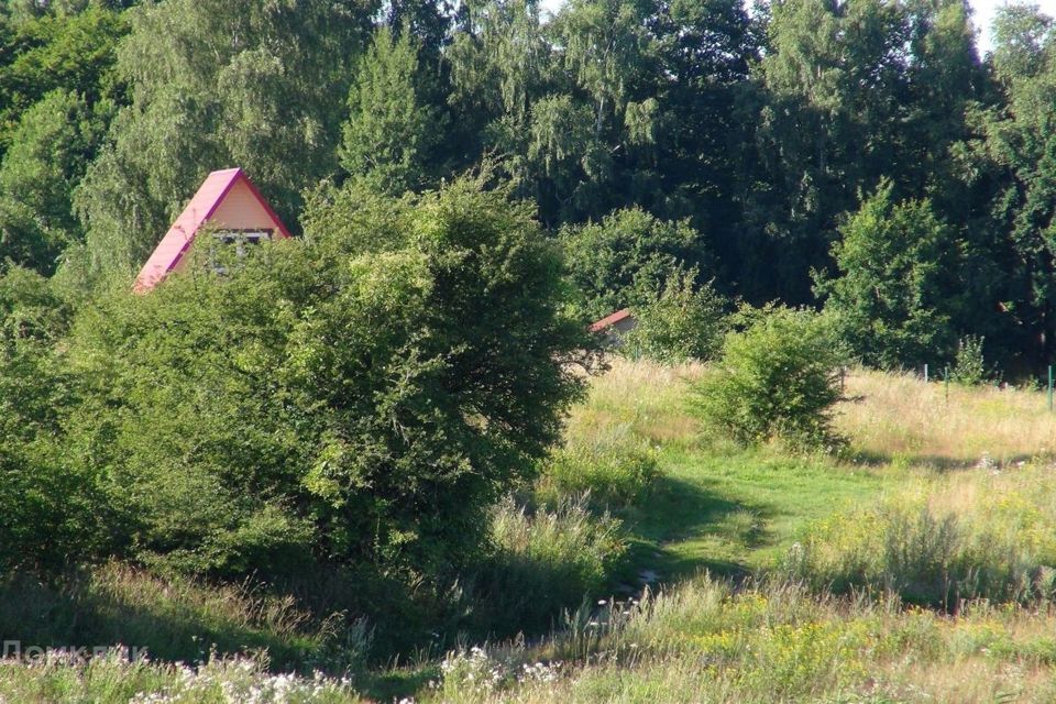 земля р-н Зеленоградский п Клюквенное Каштановая фото 4