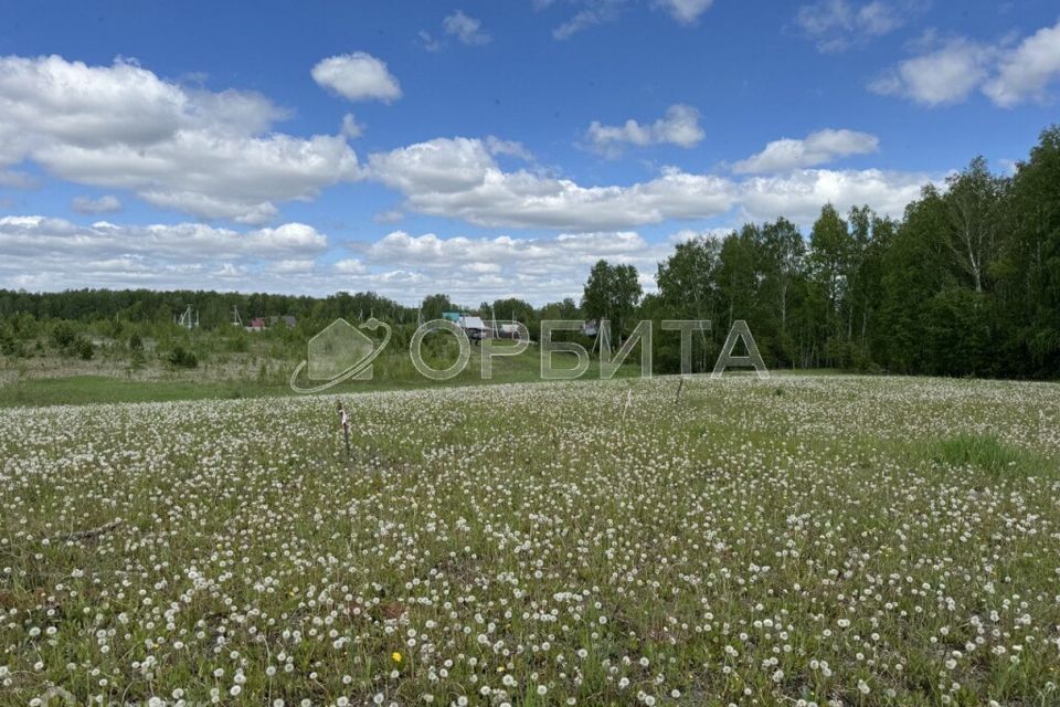 земля р-н Тюменский село Каменка фото 1