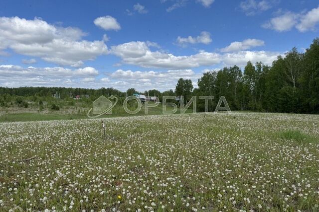 село Каменка фото