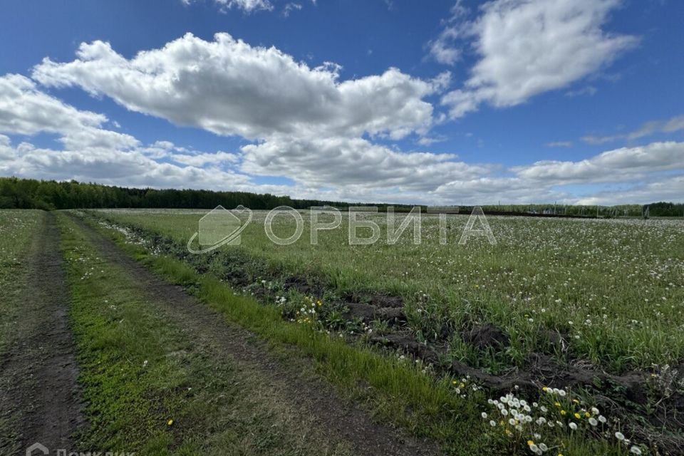 земля р-н Тюменский село Каменка фото 3