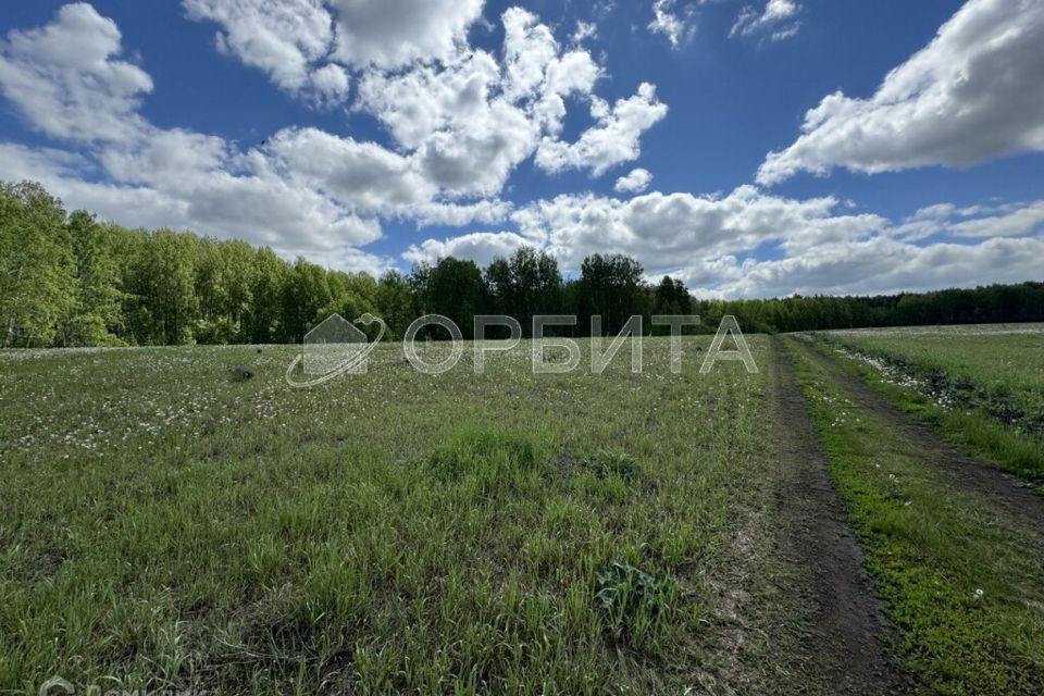 земля р-н Тюменский село Каменка фото 4