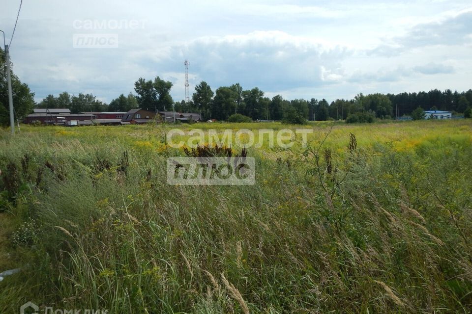 земля р-н Брянский посёлок Новые Дарковичи фото 3