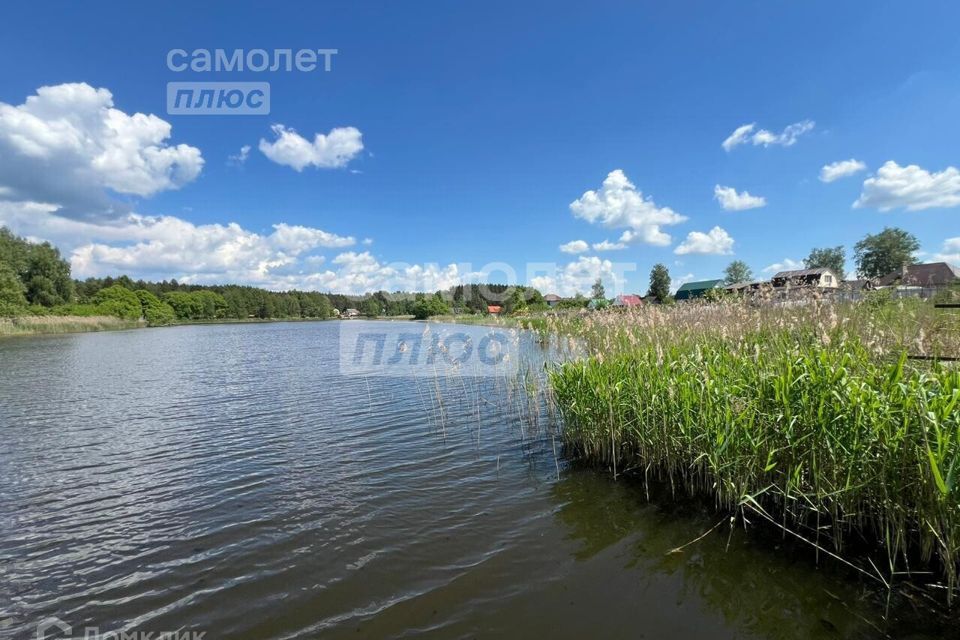 земля р-н Навлинский д Кольцовка ул Приозерная Синезёрское сельское поселение фото 3