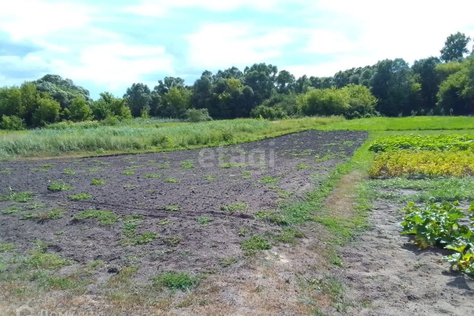 дом р-н Чернянский село Волоконовка фото 9