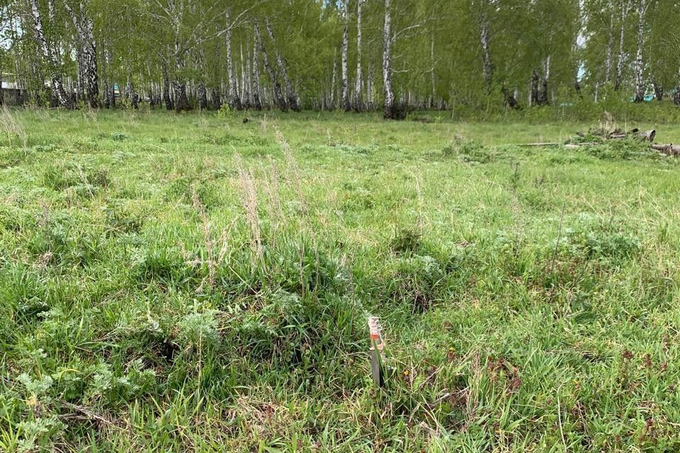 земля г Верхний Уфалей с Иткуль ул Молодежная 4 Верхнеуфалейский городской округ фото 10