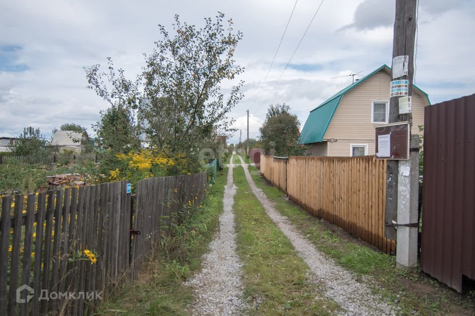 земля г Бердск городской округ Бердск, садоводческое некоммерческое товарищество Радостное фото 10