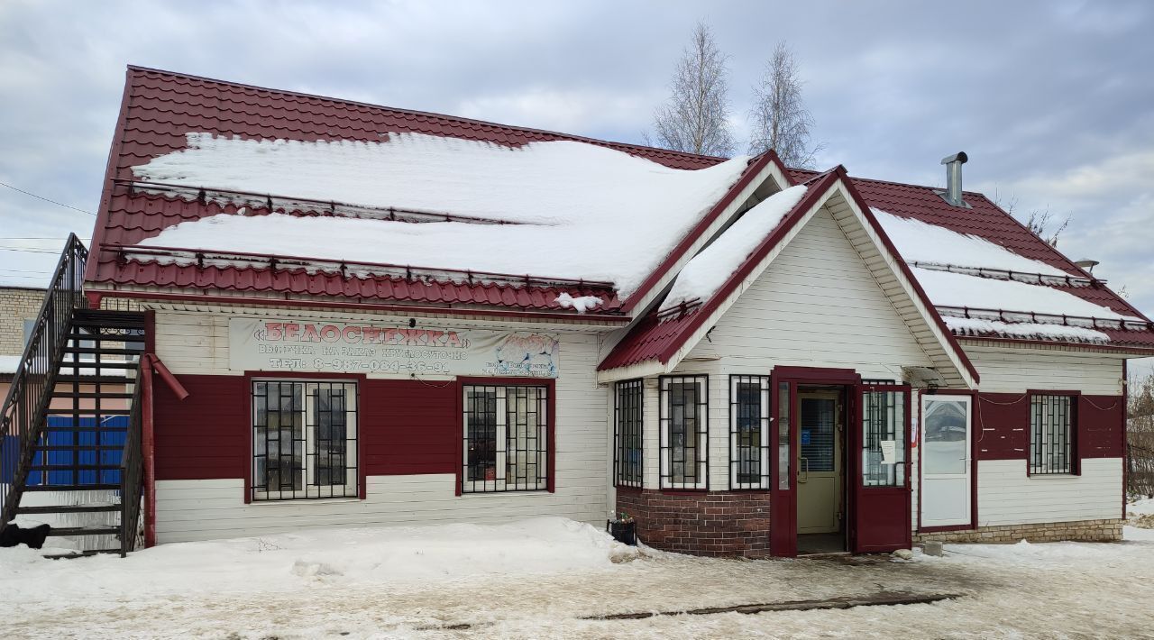 торговое помещение р-н Краснобаковский рп Красные Баки ул Нижегородская 94 фото 2