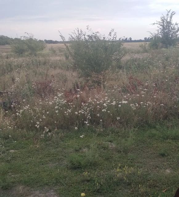 земля р-н Багаевский ст-ца Багаевская ул Дальняя фото 7