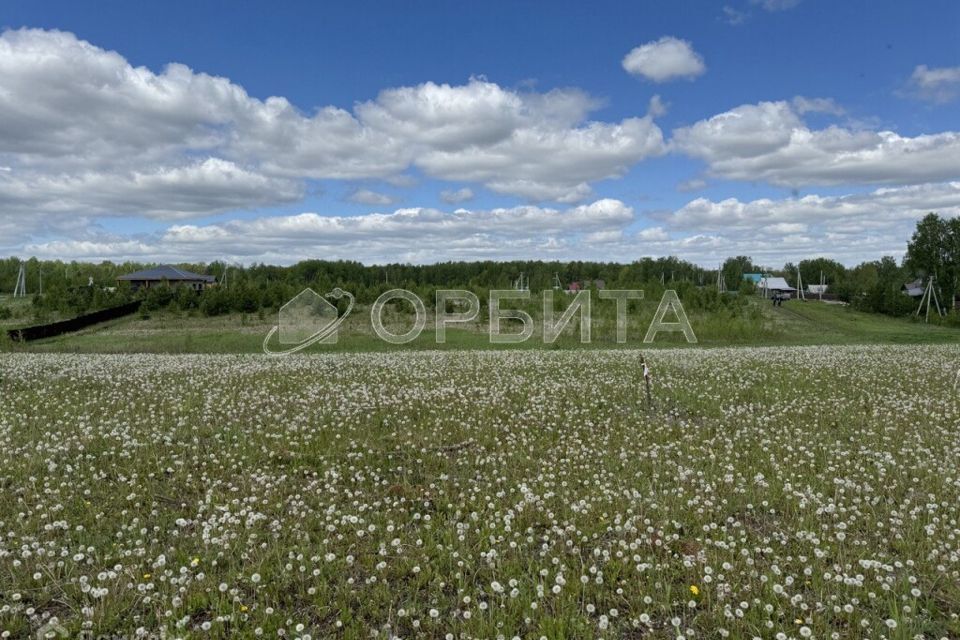 земля р-н Тюменский село Каменка фото 5