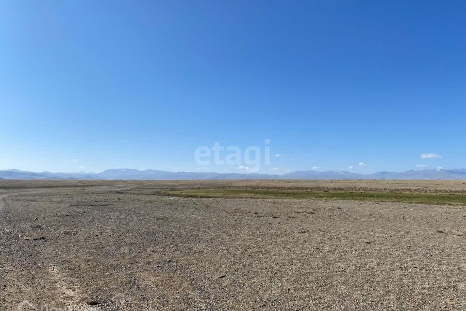 земля р-н Кош-Агачский село Кош-Агач фото 2