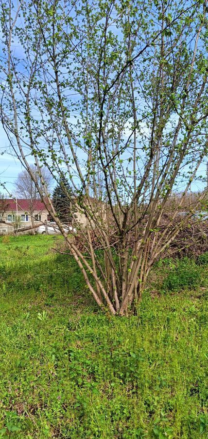 земля р-н Мостовский п Перевалка ул Садовая Псебайское городское поселение, Псебай фото 7