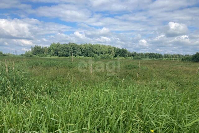 снт Парус ул Приозерная городской округ Тюмень фото