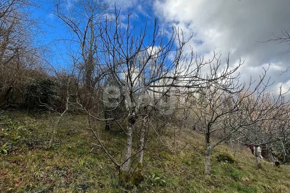 земля г Сочи городской округ Сочи, Новая Мацеста фото 1