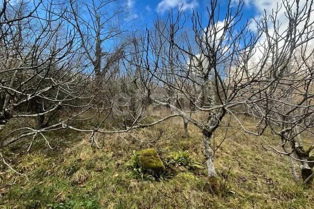 с Верховское ул Волковская городской округ Сочи фото