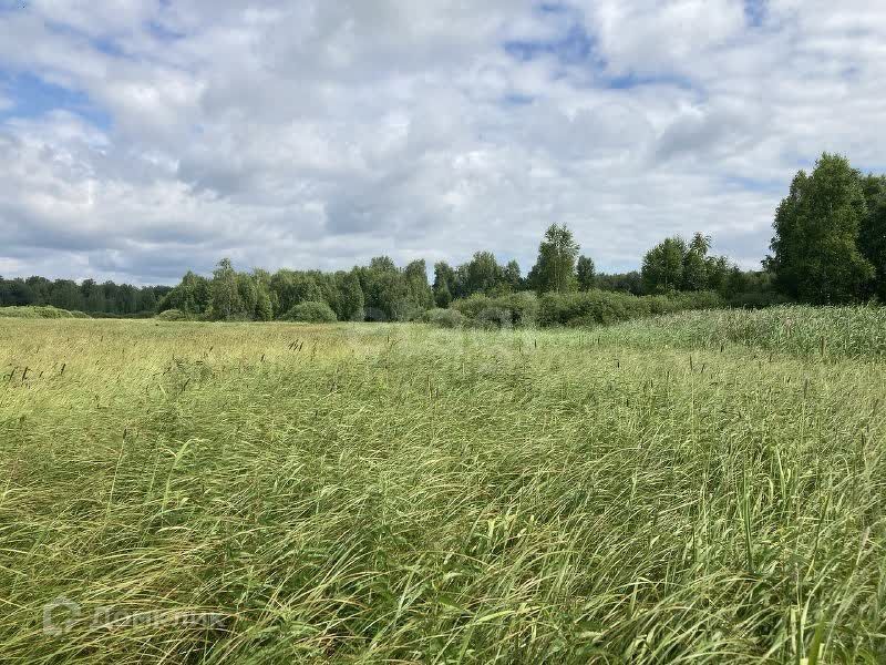 земля р-н Нижнетавдинский посёлок Торгили фото 4