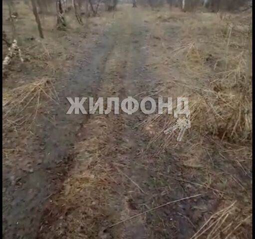 земля р-н Ленинский ул Березовая городской округ Новосибирск фото