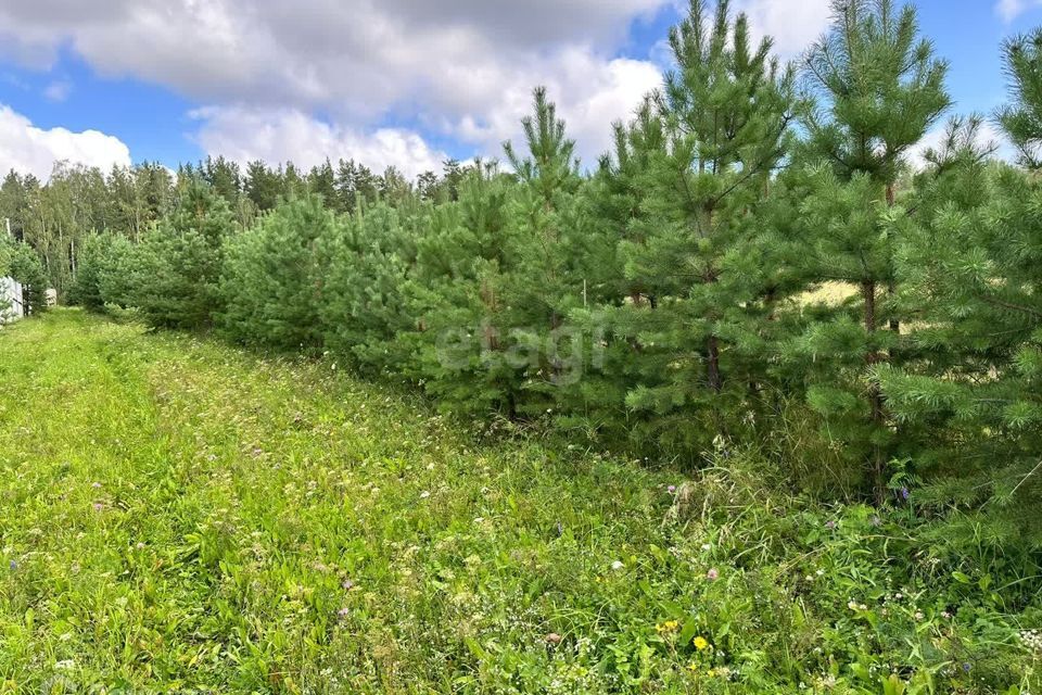 земля г Екатеринбург р-н Чкаловский Екатеринбург городской округ, Чкаловский фото 1