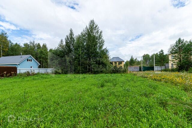 городской округ Тюмень, Центральный фото