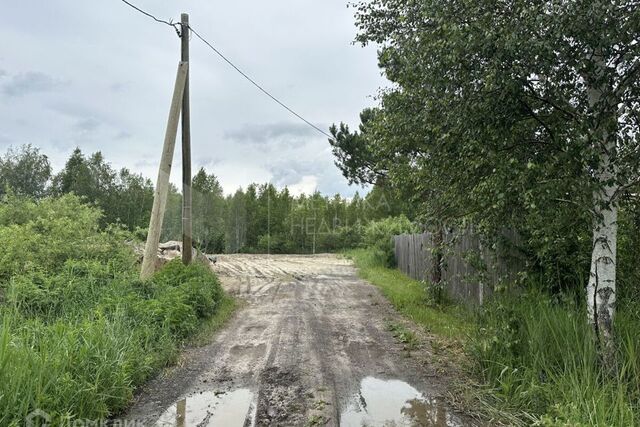 городской округ Тюмень, СО Лаванда фото