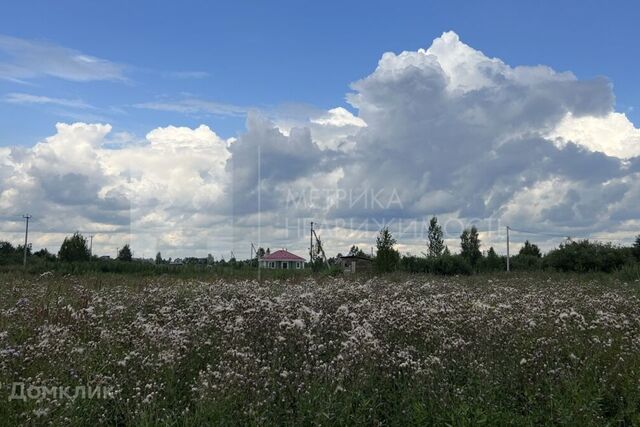 городской округ Тюмень, СТ Поле чудес-2 фото