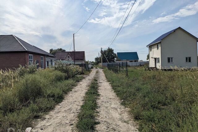 Краснодар городской округ, СНТ Кубаночка, Магистральная улица фото