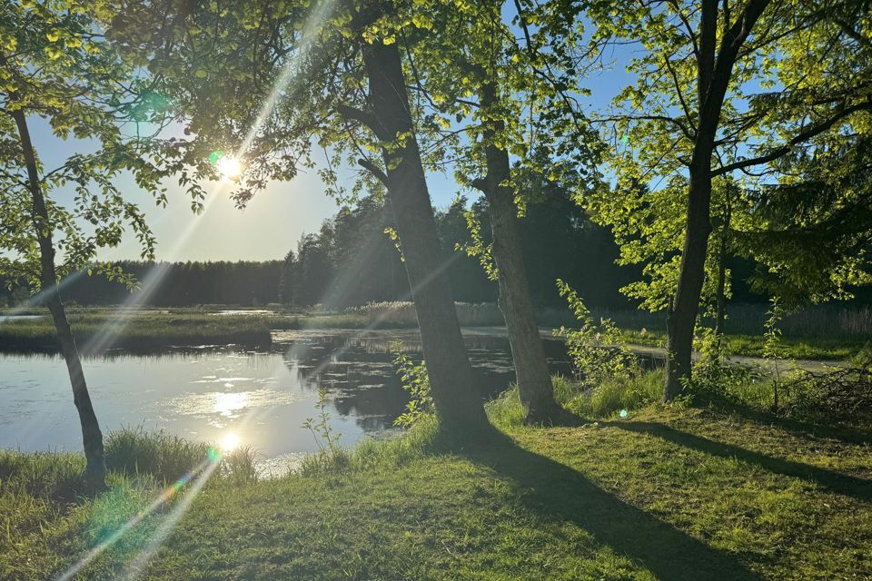 дом р-н Гатчинский городской посёлок Вырица, улица Чапаева, 2а фото 2