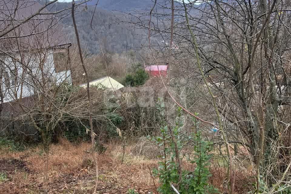 земля г Сочи городской округ Сочи, Шаумяновка фото 2