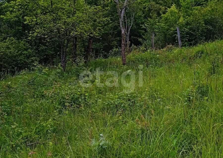 земля г Сочи городской округ Сочи, СТ Лавр фото 2