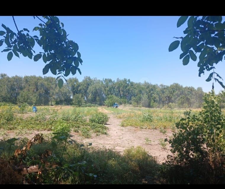 дом р-н Белоглинский село Белая Глина фото 3