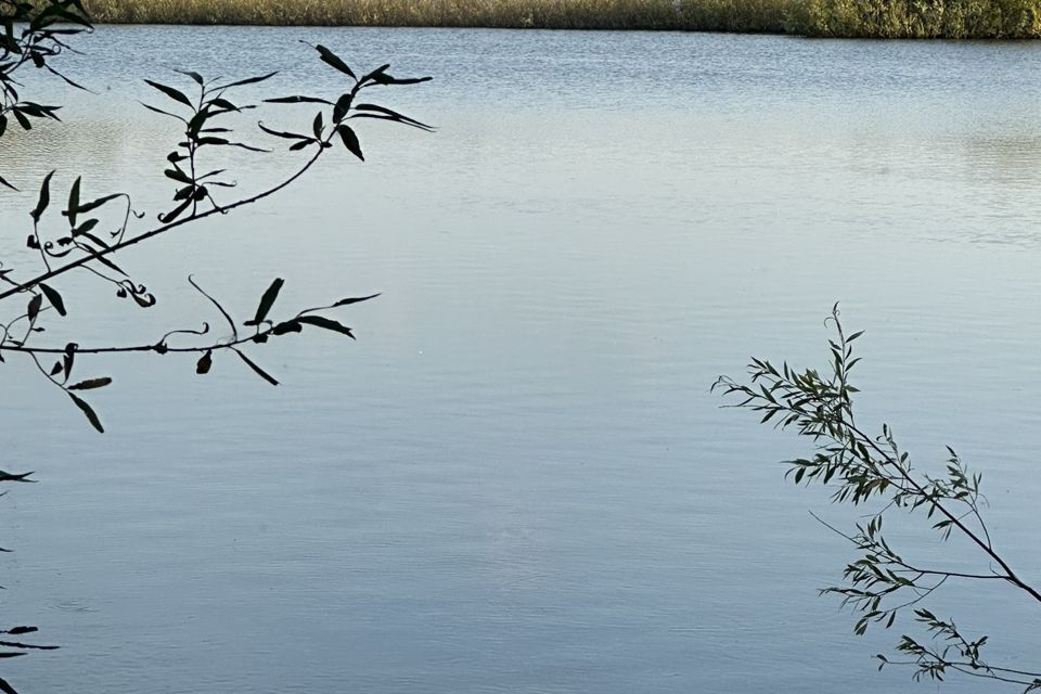 земля городской округ Йошкар-Ола, деревня Апшакбеляк фото 2