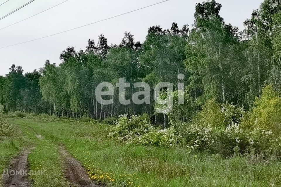 земля р-н Емельяновский садоводческое некоммерческое товарищество Добрый фото 1