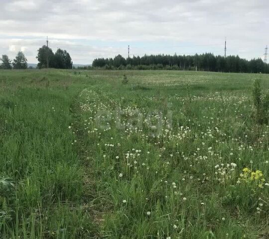 р-н Новокузнецкий Кемеровская область — Кузбасс, Тальжино фото