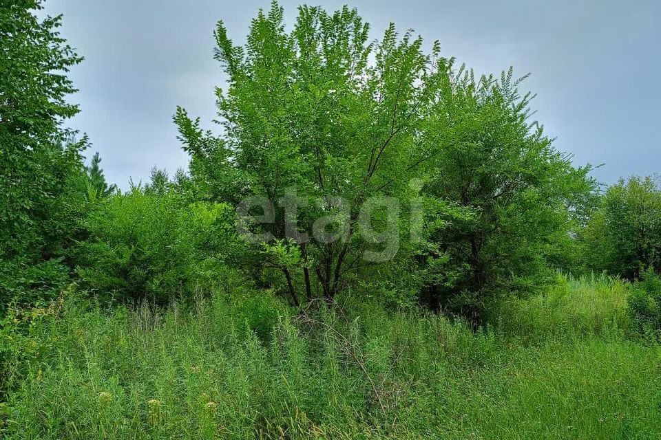 земля р-н Благовещенский село Владимировка фото 1