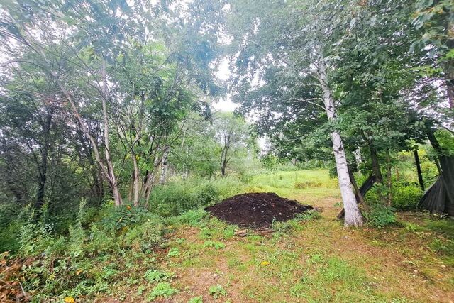 земля дом 40/2 городской округ Благовещенск фото