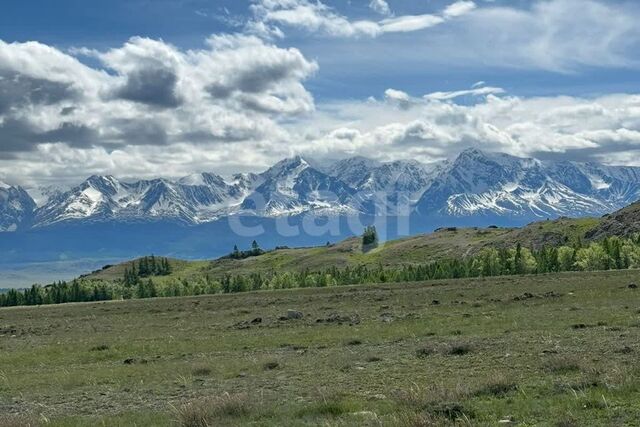 село Курай фото