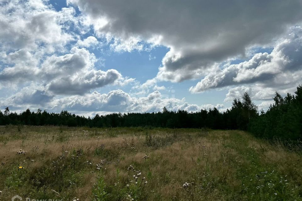 земля г Екатеринбург р-н Чкаловский Екатеринбург городской округ, Чкаловский фото 2