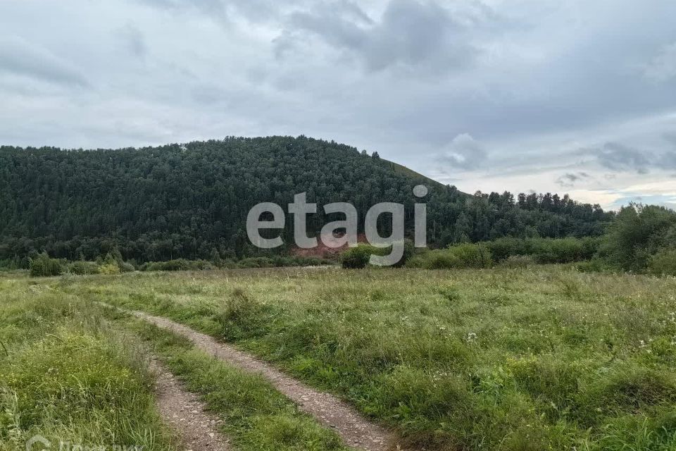 земля р-н Емельяновский фото 4