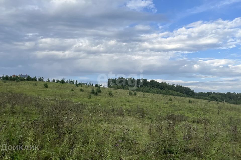 земля р-н Емельяновский п Элита ул Лесная фото 4