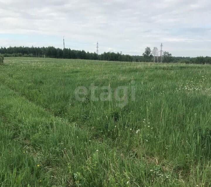 земля р-н Новокузнецкий Кемеровская область — Кузбасс, Тальжино фото 2