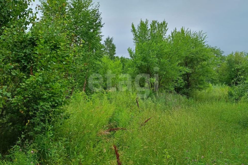 земля р-н Благовещенский село Владимировка фото 2