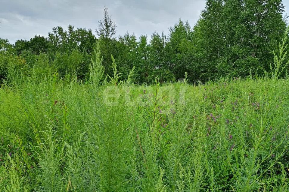 земля р-н Благовещенский село Владимировка фото 4