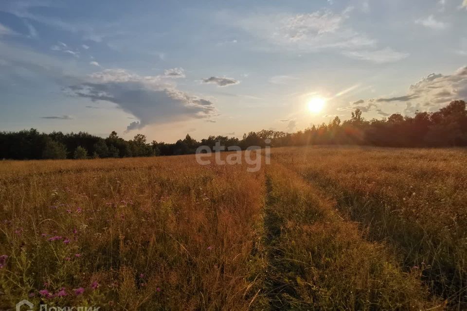 земля р-н Духовщинский фото 2