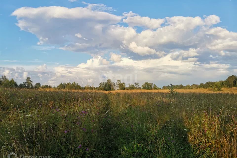 земля р-н Духовщинский фото 4